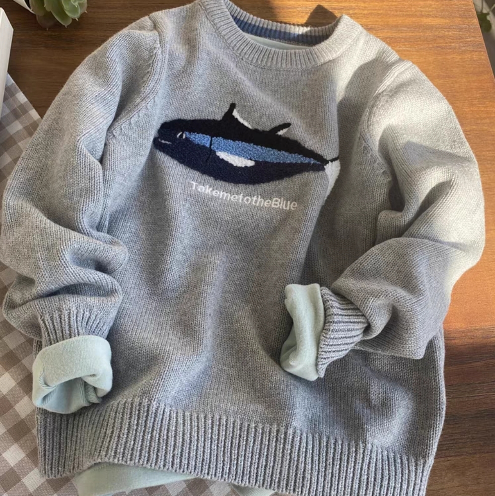 Boy sweater